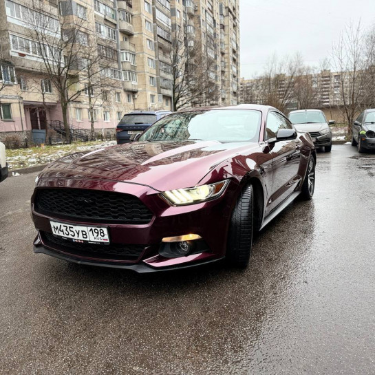 Оклейка Ford Mustang защитным полиуретаном Sunmax 51 Jaguar Black Rose PPF